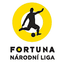 Czech Republic FNL logo