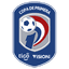 Paraguay Division Profesional logo