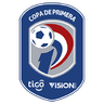 Paraguay Division Profesional