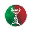 Portugal Taça de Portugal logo