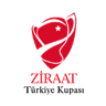 Turkey Turkish Cup logo