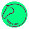 Turkmenistan Ýokary Liga