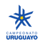 Uruguay Primera División logo