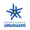 Uruguay Primera División logo