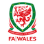 Wales League Cup logo