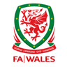 Wales League Cup logo