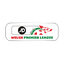 Wales Welsh Premier League logo