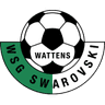 WSG Swarovski Wattens