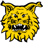 Tampereen Ilves