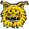 Tampereen Ilves