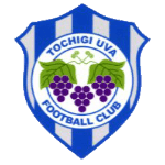 Tochigi City