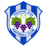 Tochigi City