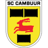 SC Cambuur Leeuwarden