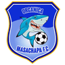 Organica Masachapa