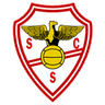 SC Salgueiros 08