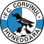 FC Corvinul Hunedoara