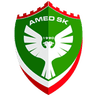 Amed Sportif Faaliyetler Kulubu