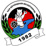 Van Buyuksehir Belediyesi Spor Kulubu