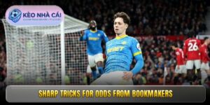 Odds From Bookmakers – Secret To Consistent Profits