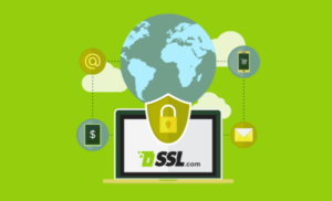Why Australian Players Value Trust Signals Online