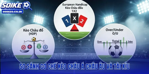 Soi Kèo – A Practical Framework for Analyzing Football Before Kickoff