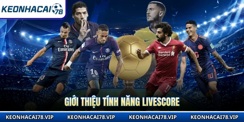 Livescore Kèo Nhà Cái – Follow Live Scores with Comprehensive Football Data